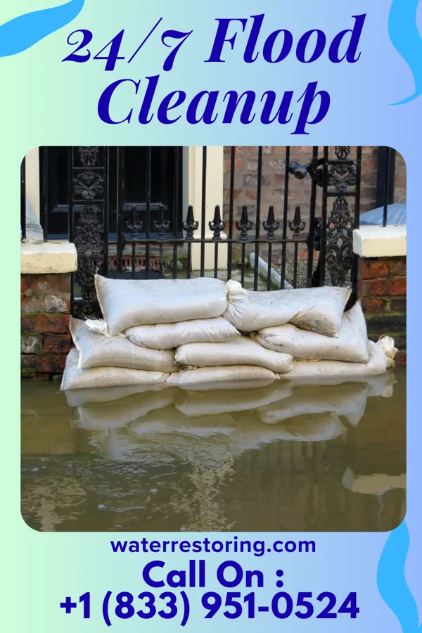 24/7 Flood Cleanup in Reed City, MI