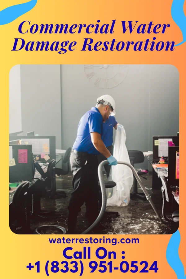 Commercial Water Damage Restoration in Reed City, MI