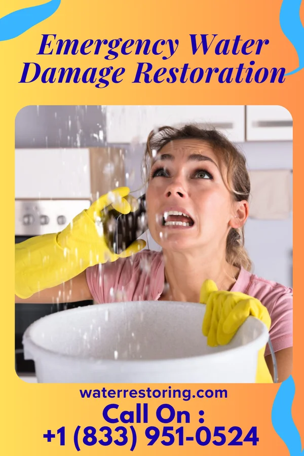 Emergency Water Damage Restoration in Reed City, MI