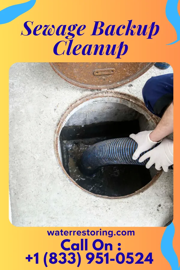 Sewage Backup Cleanup in Reed City, MI